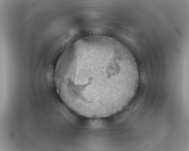 X0000114570181200911091223