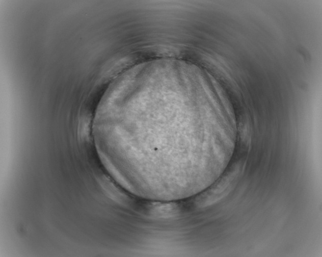 X0000114570185200911091223