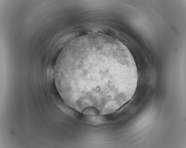 X0000114570191200911091223