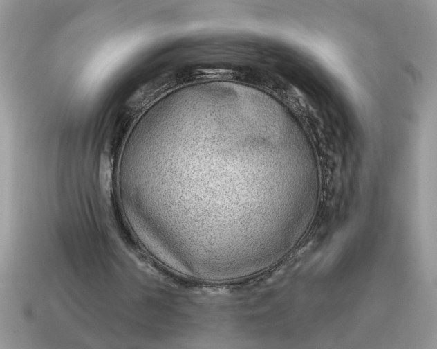 X0000114570194200911091223