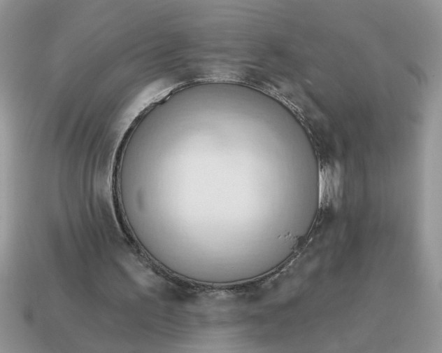 X0000114570195200911091222