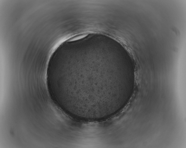 X0000114570196200911091222