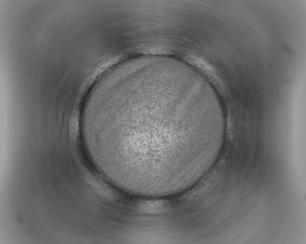 X0000114570202200911091222