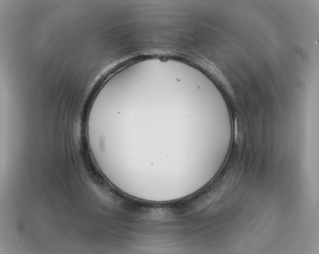 X0000114570204200911091222