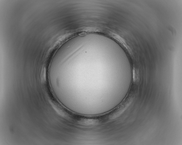 X0000114570205200911091222