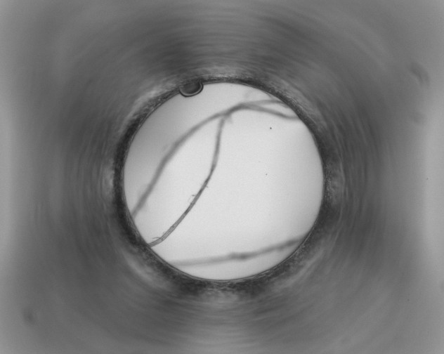 X0000114570207200911091222