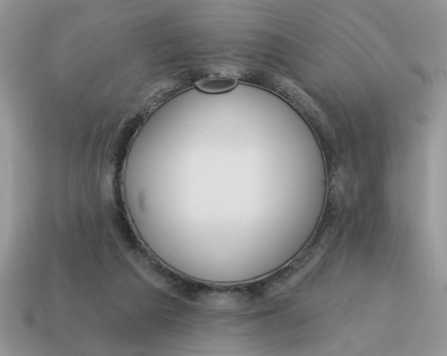 X0000114570209200911091222