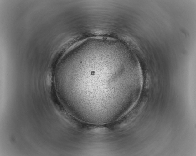 X0000114570210200911091222