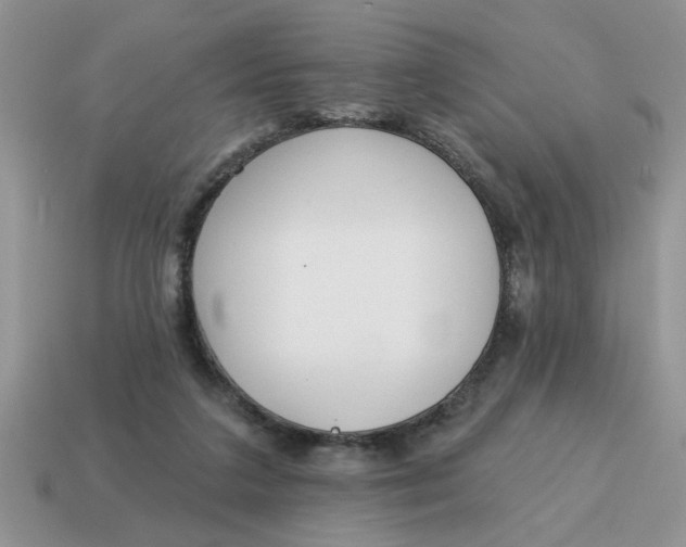 X0000114570211200911091222