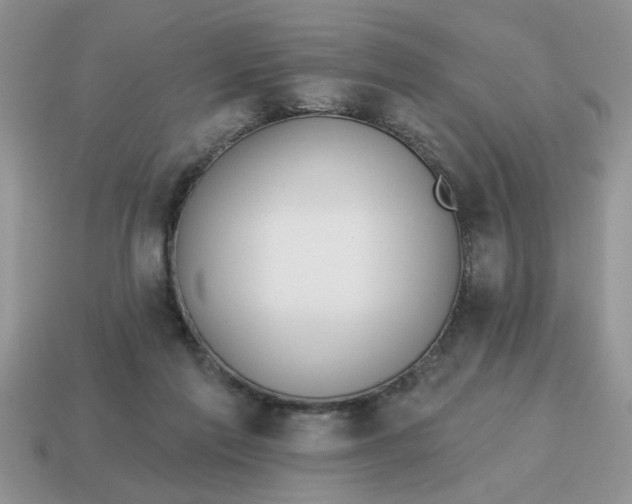 X0000114570213200911091222