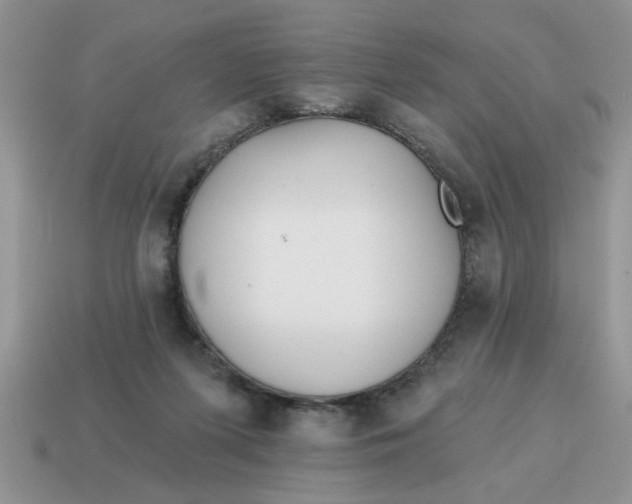 X0000114570215200911091222