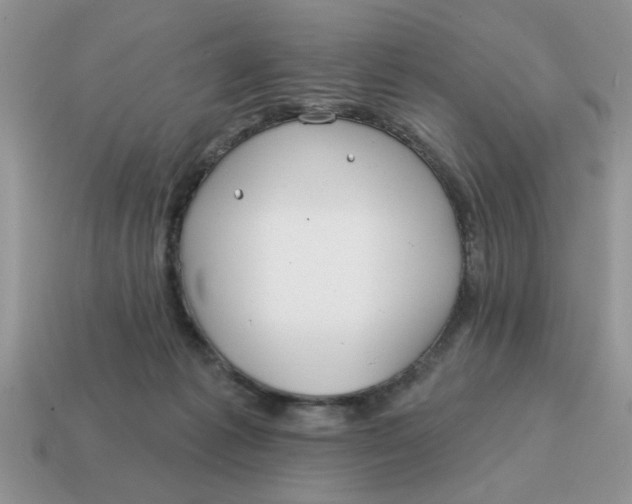 X0000114570221200911091222