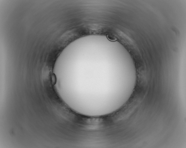 X0000114570225200911091222