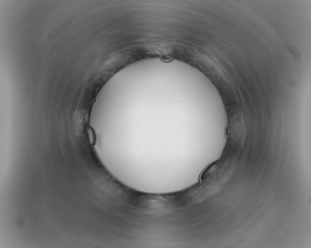 X0000114570229200911091222