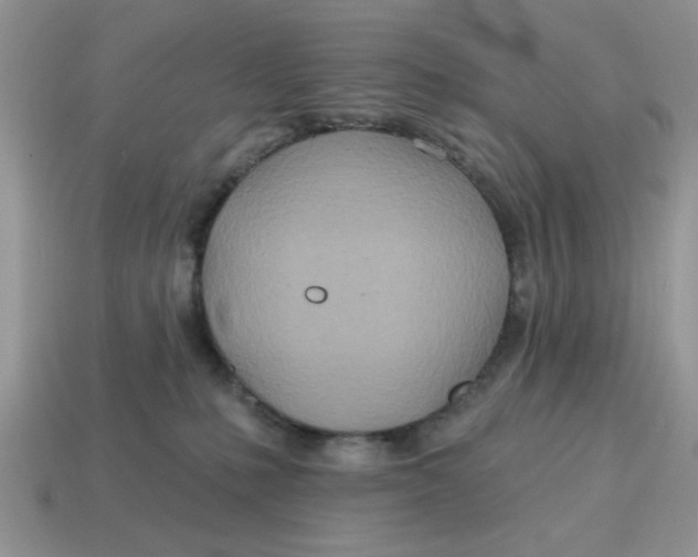 X0000114570231200911091222