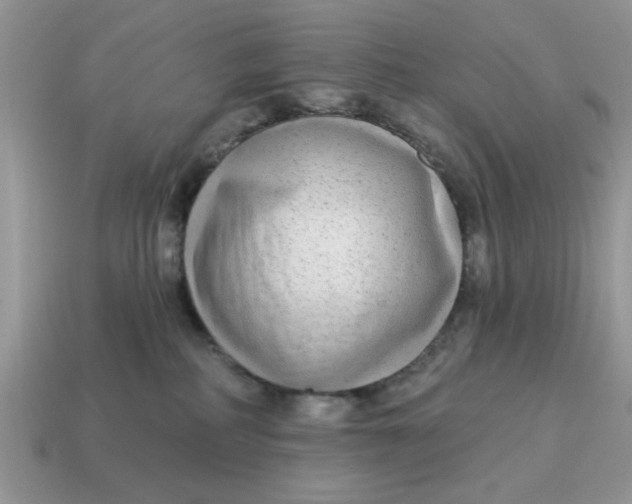 X0000114570234200911091222