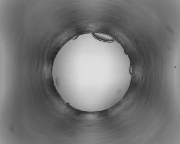 X0000114570236200911091222