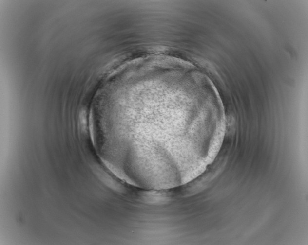 X0000114570238200911091222