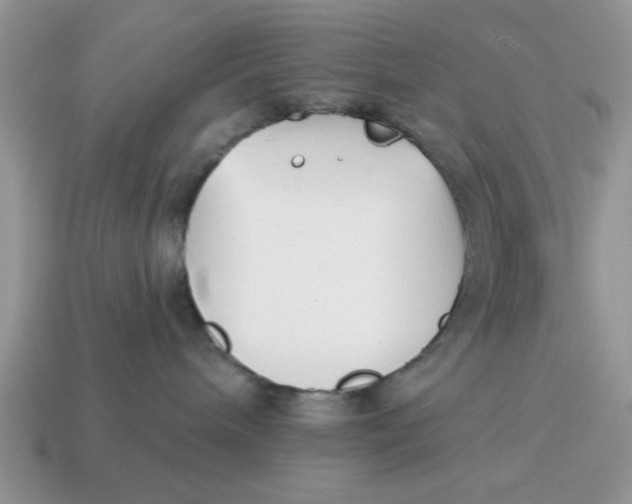 X0000114570240200911091222