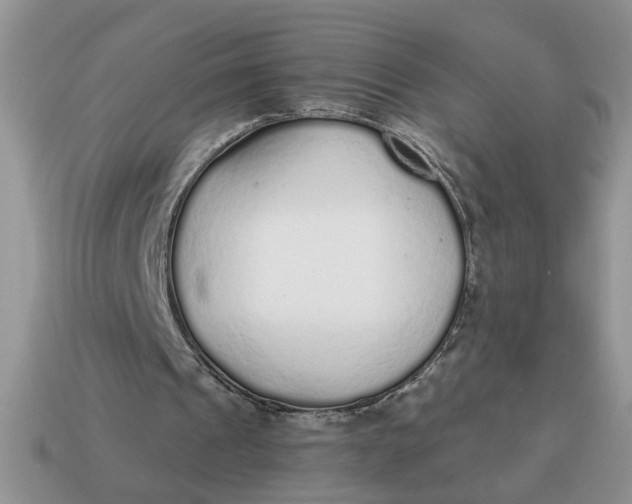 X0000114570241200911091221