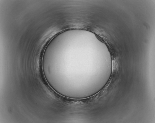 X0000114570243200911091221