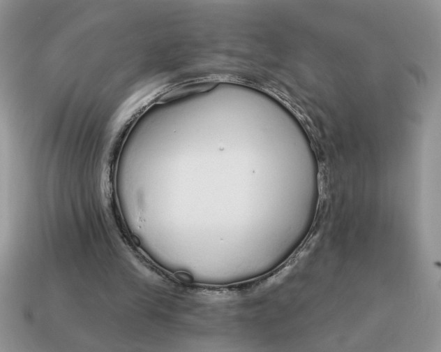 X0000114570245200911091221