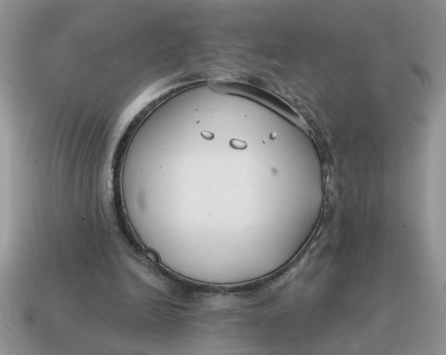 X0000114570246200911091221