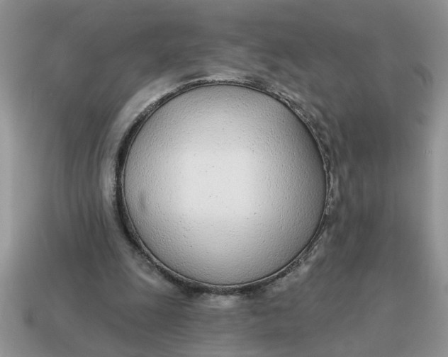 X0000114570247200911091221