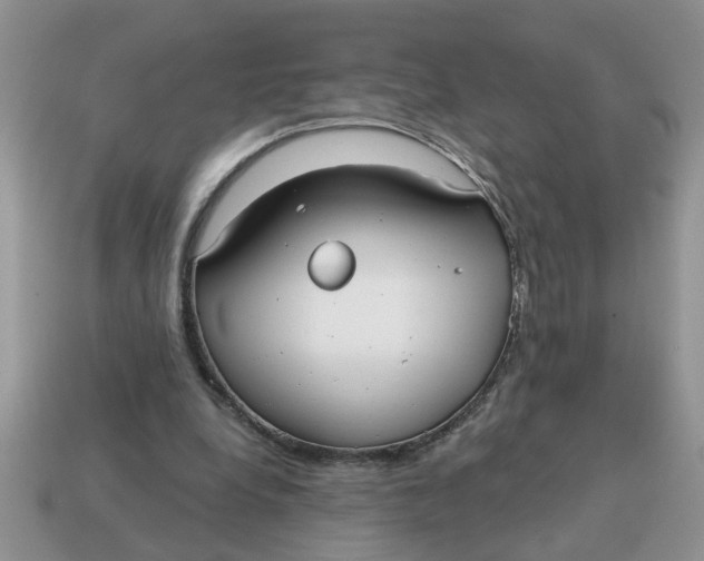 X0000114570248200911091221