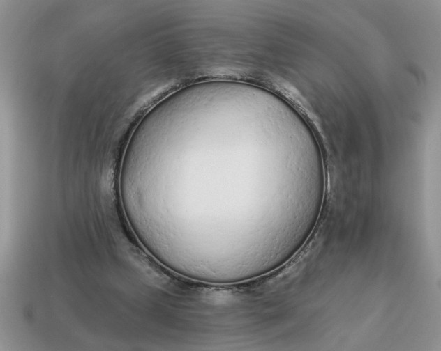 X0000114570249200911091221