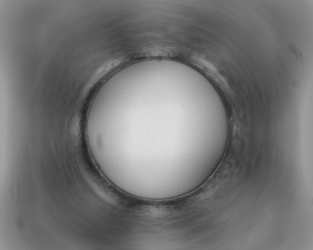 X0000114570250200911091221