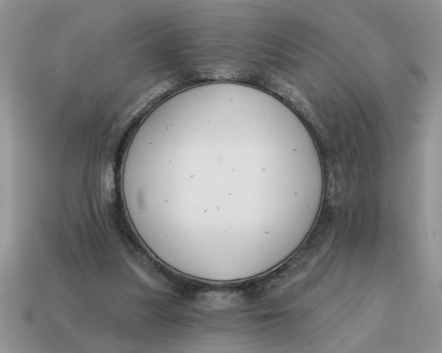 X0000114570251200911091221