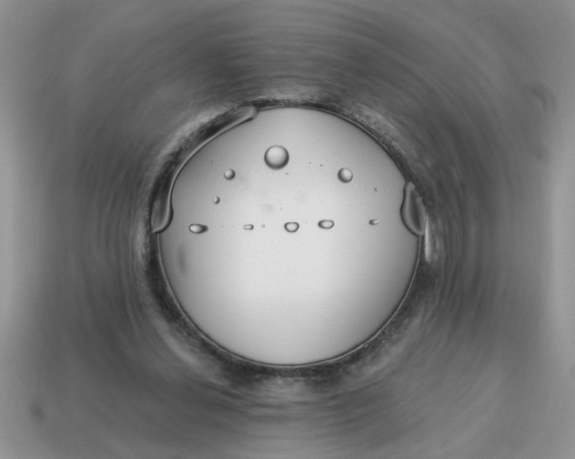 X0000114570252200911091221