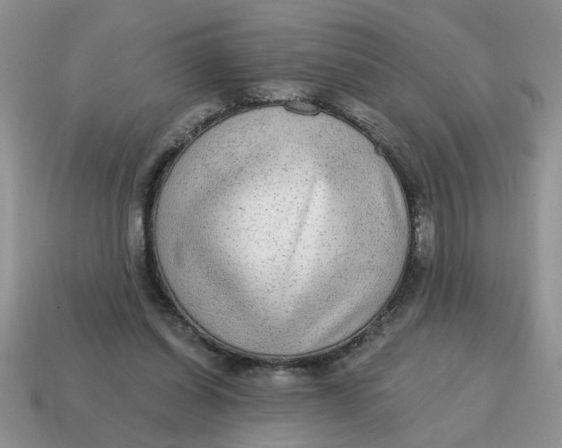 X0000114570254200911091221