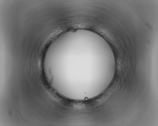 X0000114570258200911091222