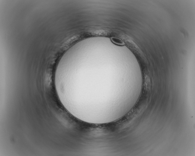 X0000114570259200911091222