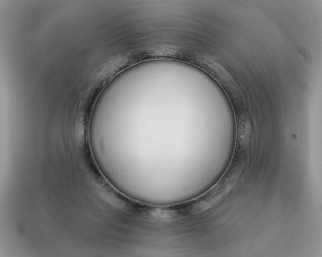 X0000114570261200911091222