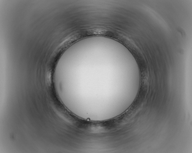 X0000114570262200911091222