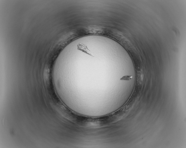 X0000114570263200911091222