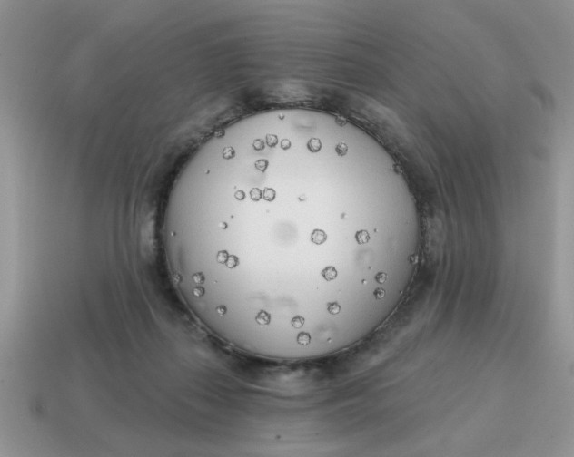 X0000114570267200911091222