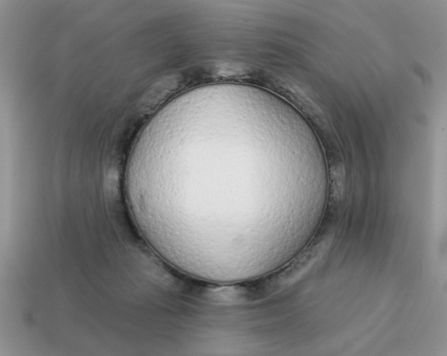 X0000114570269200911091222