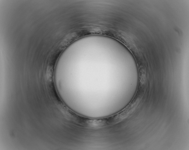 X0000114570273200911091222