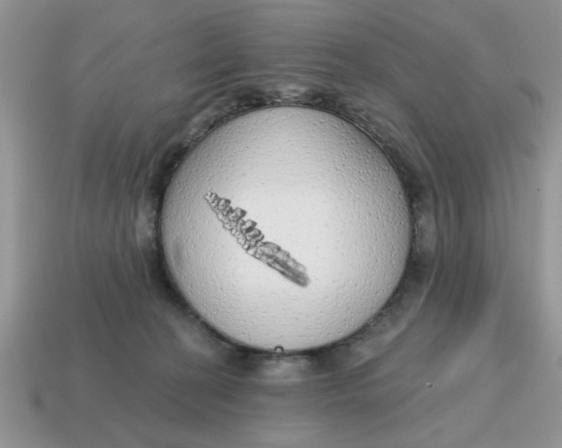 X0000114570274200911091222