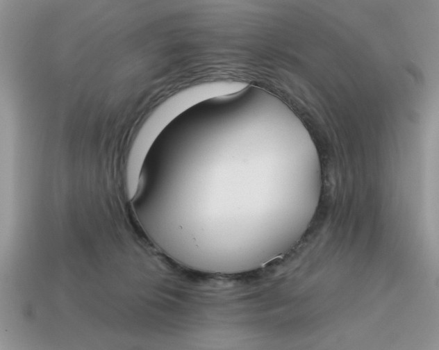 X0000114570276200911091222