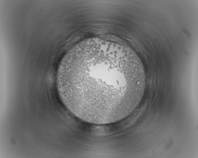 X0000114570277200911091222