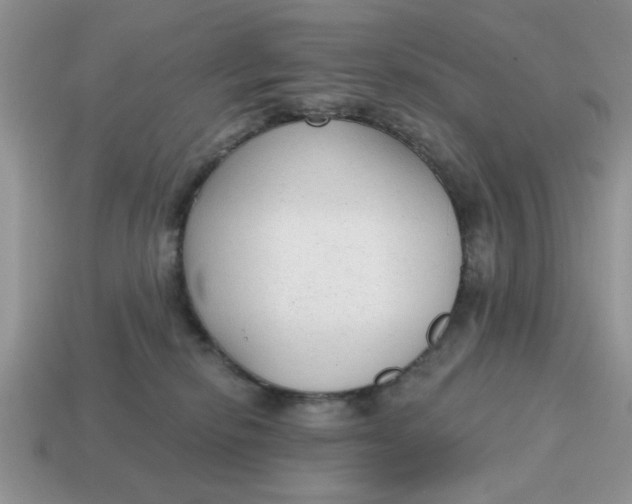 X0000114570278200911091222