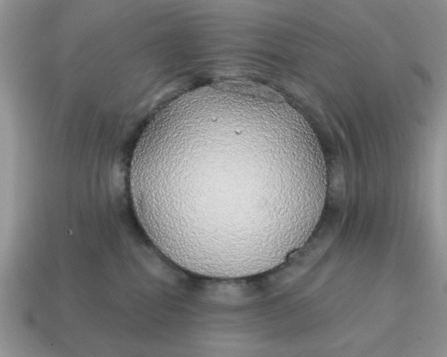 X0000114570282200911091222