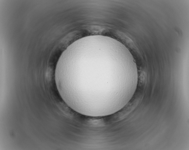 X0000114570283200911091222