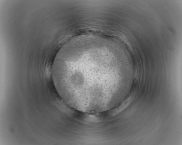 X0000114570285200911091222