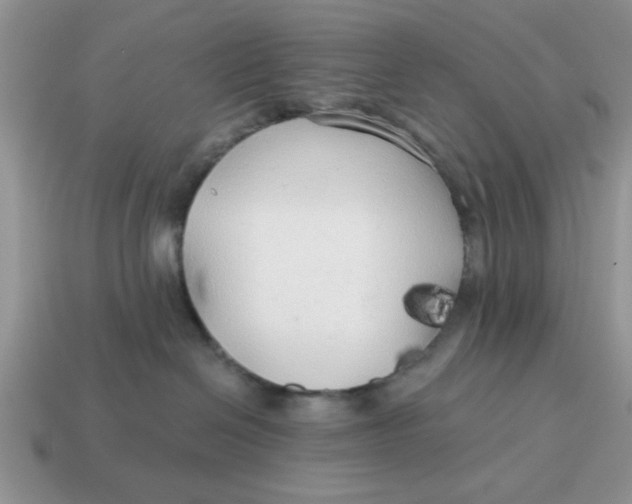 X0000114570286200911091222